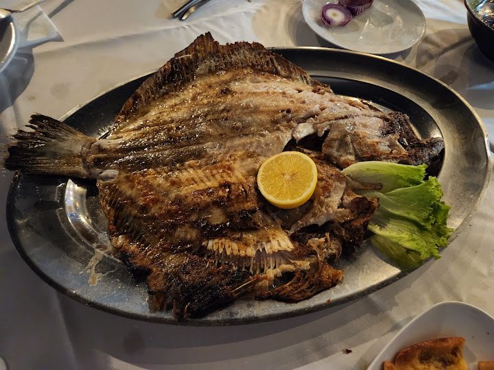 Fotoğraf 44