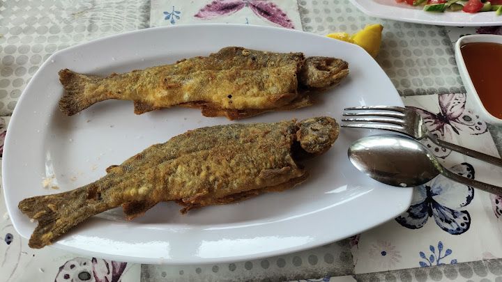 Karaköse Balık Lokantası alabalık çiftliği
