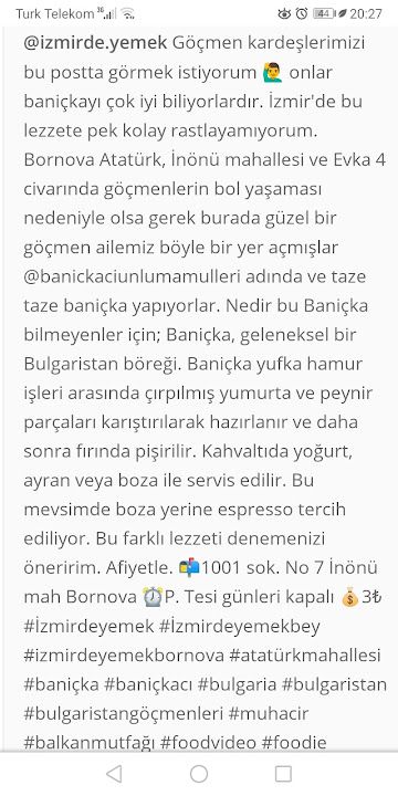Fotoğraf 31