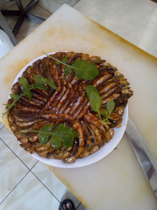 Fotoğraf 11