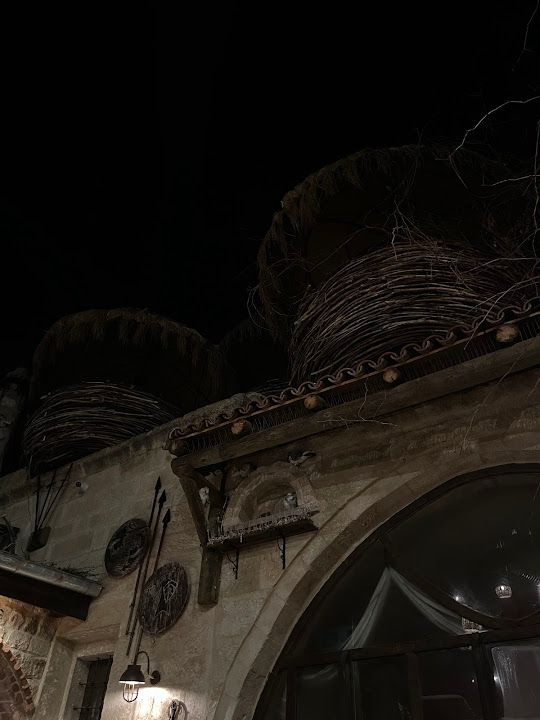Fotoğraf 60