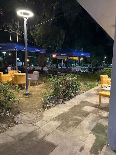 Fotoğraf 15