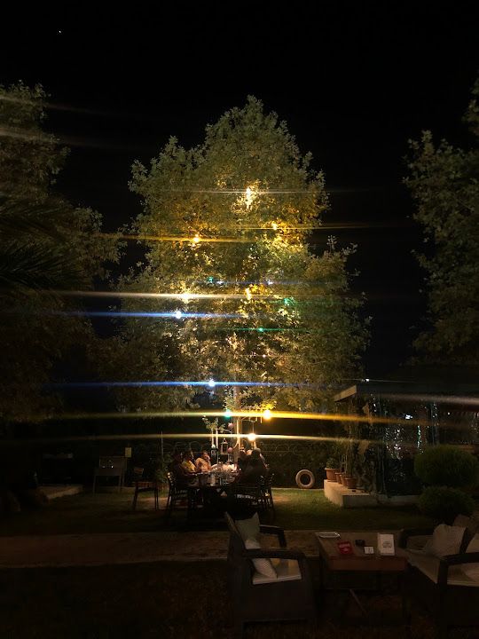 Fotoğraf 61