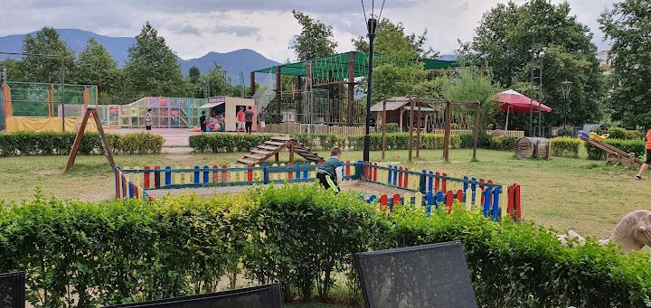 Fotoğraf 60