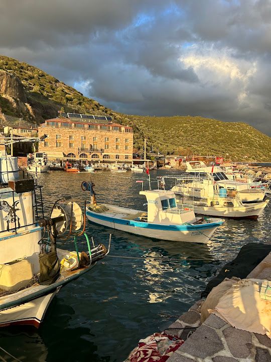 Yorum fotoğrafı 1
