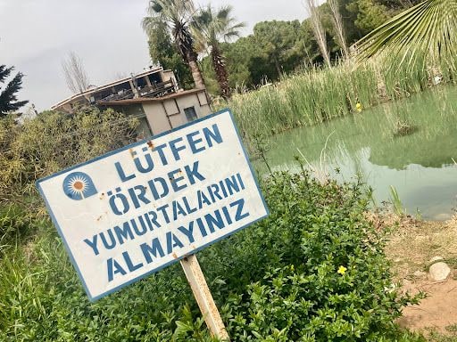 Yorum fotoğrafı 5