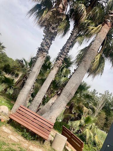 Yorum fotoğrafı 6