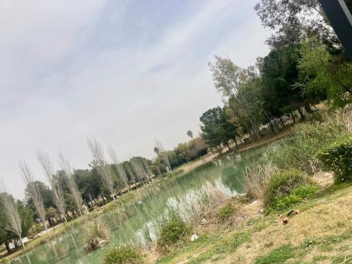 Yorum fotoğrafı 7