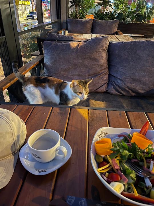 Yorum fotoğrafı 4