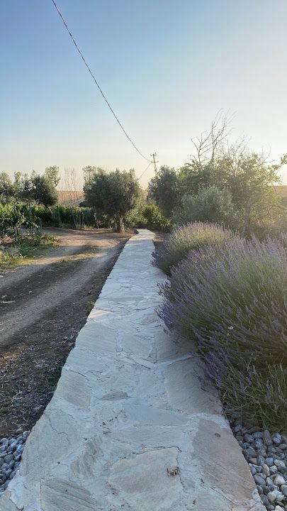 Fotoğraf 66