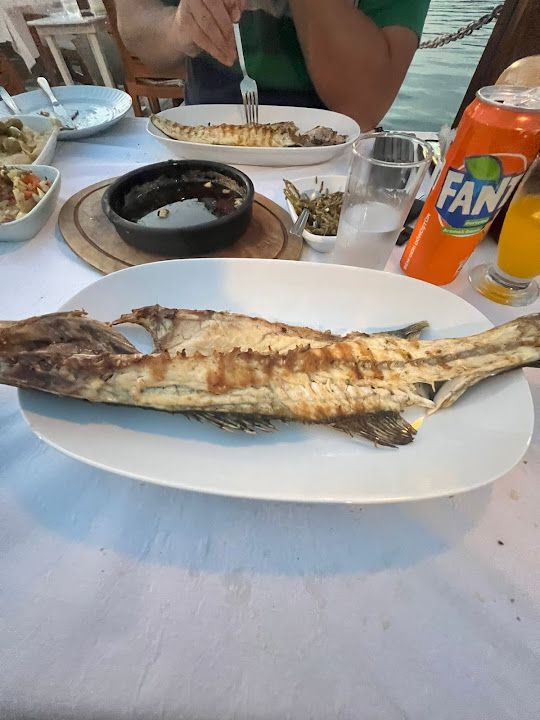 Fotoğraf 33