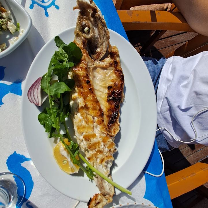 Fotoğraf 22
