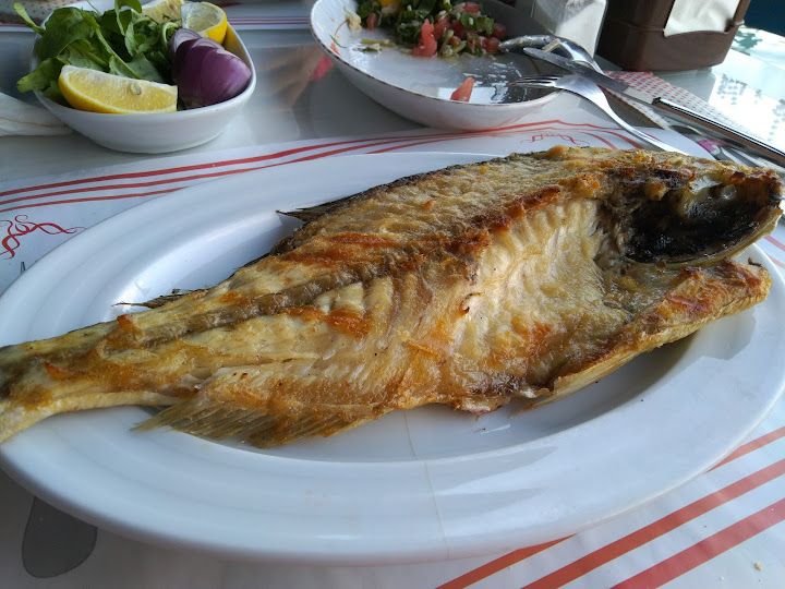Fotoğraf 31
