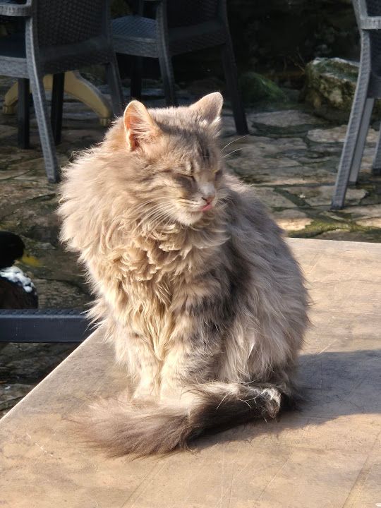 Yorum fotoğrafı 1