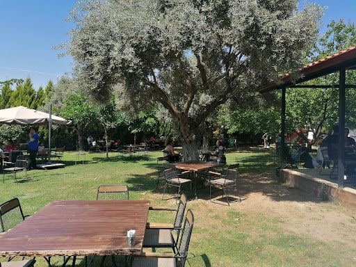 Fotoğraf 24