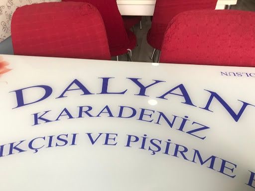 Yorum fotoğrafı 6