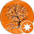 Baris Erer (berer)