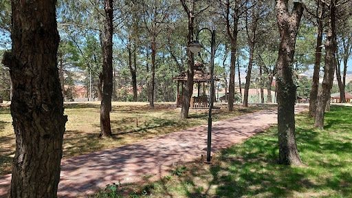 Yorum fotoğrafı 5