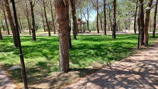 Yorum fotoğrafı 8