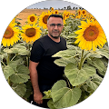 Barış Göl