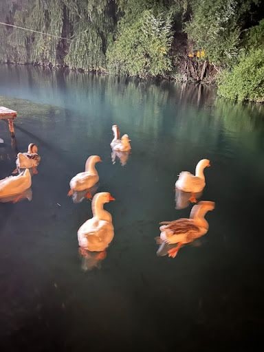 Yorum fotoğrafı 3