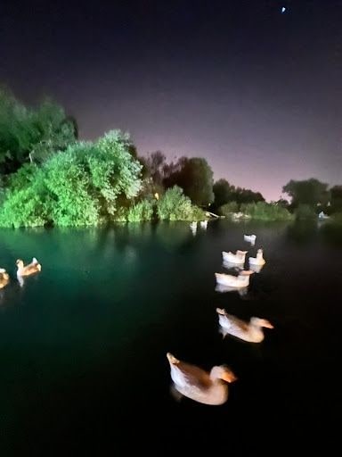 Yorum fotoğrafı 6