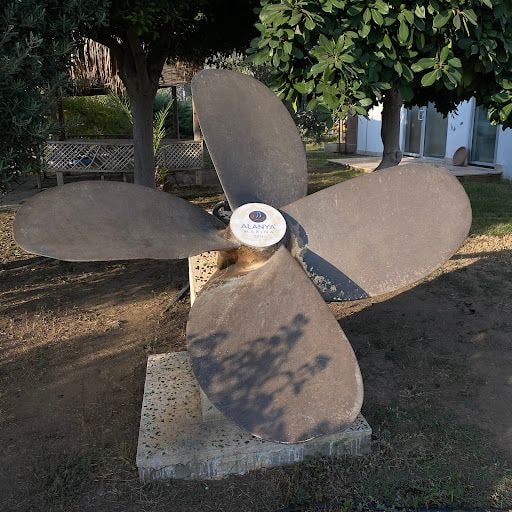 Yorum fotoğrafı 9