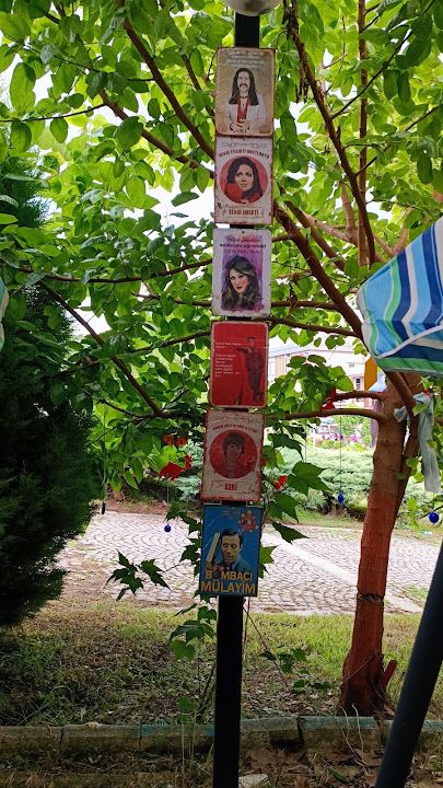 Yorum fotoğrafı 3