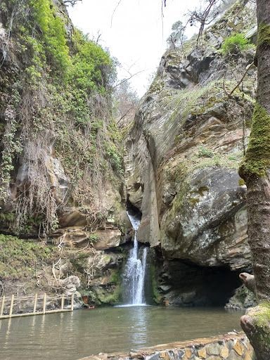 Fotoğraf 19