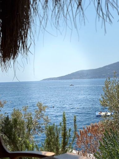 Yorum fotoğrafı 5