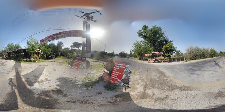 Fotoğraf 33