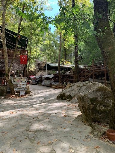 Yorum fotoğrafı 5