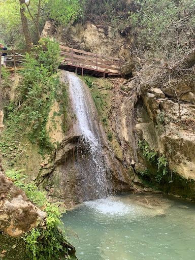 Yorum fotoğrafı 8