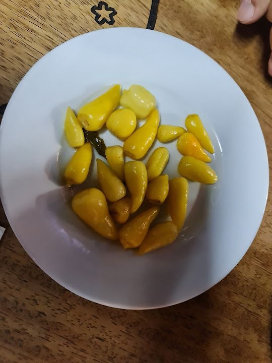 Fotoğraf 44