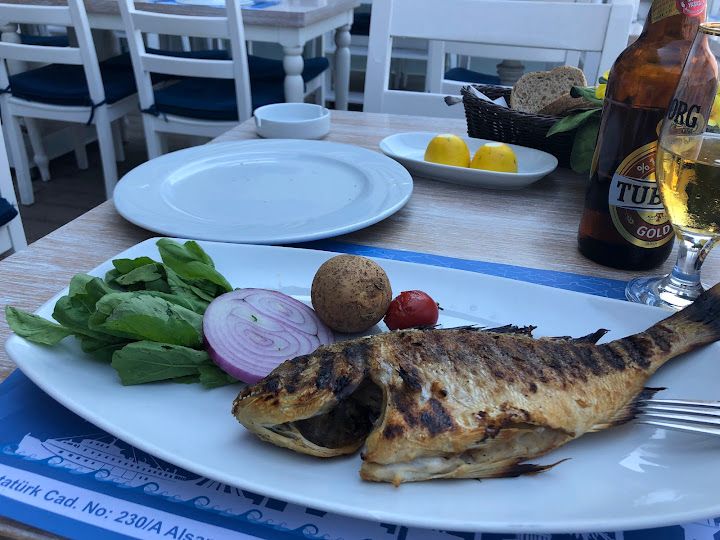 Fotoğraf 24