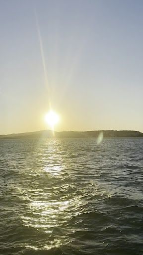 Fotoğraf 12