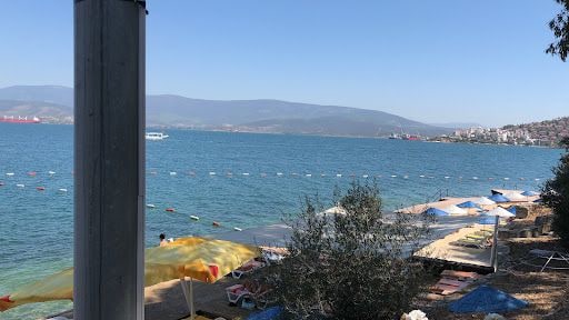 Fotoğraf 16