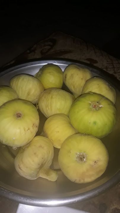 Fotoğraf 32