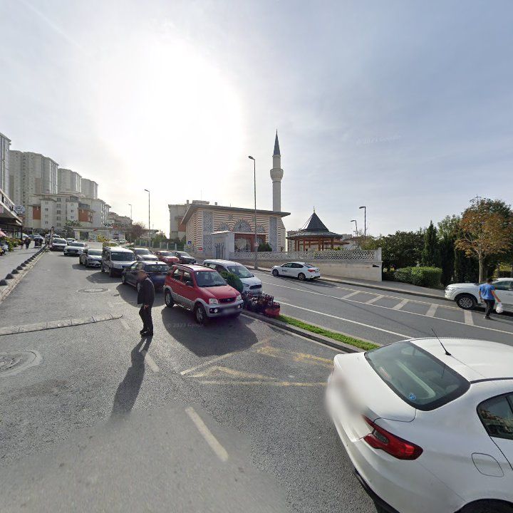 Fotoğraf 6