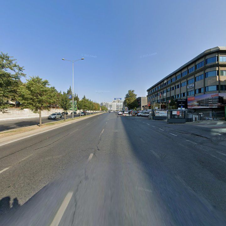 Fotoğraf 16