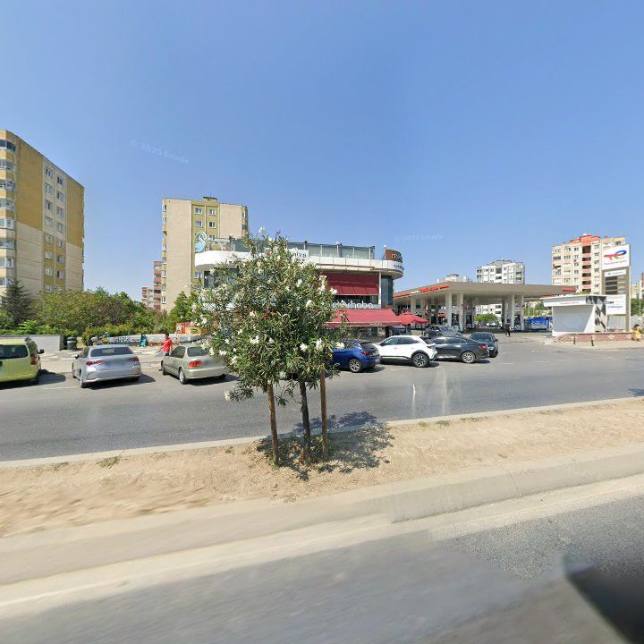 Fotoğraf 9