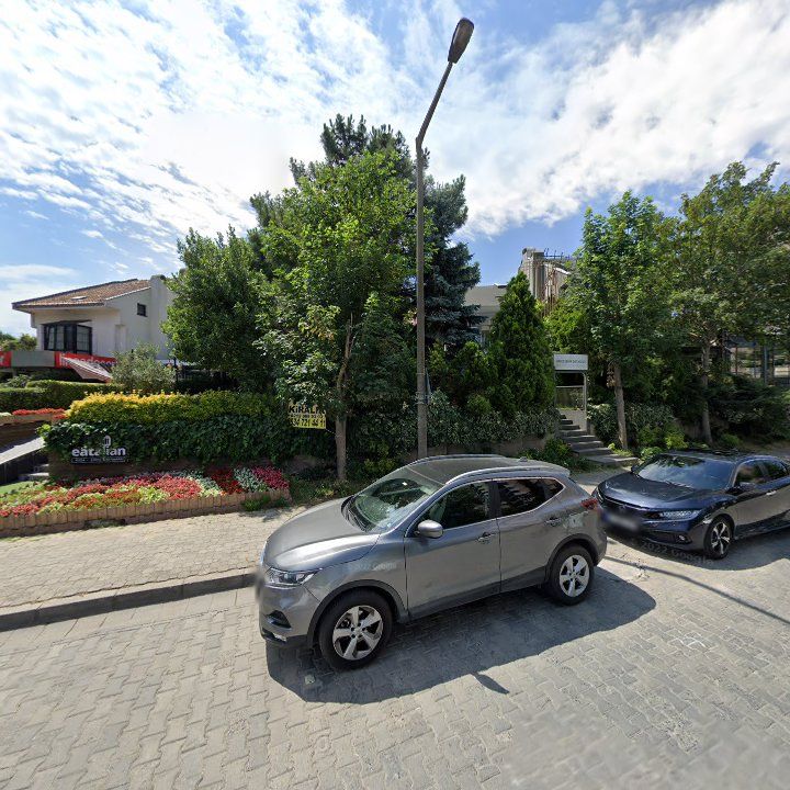 Fotoğraf 12