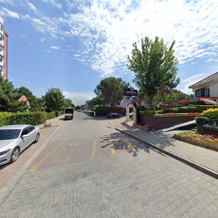 Fotoğraf 15