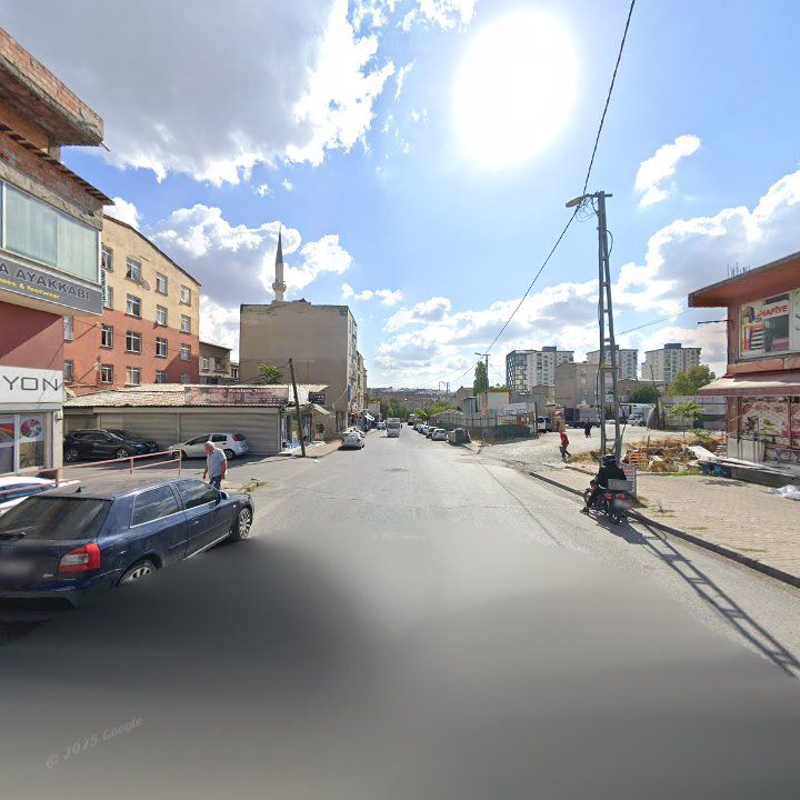 Fotoğraf 11