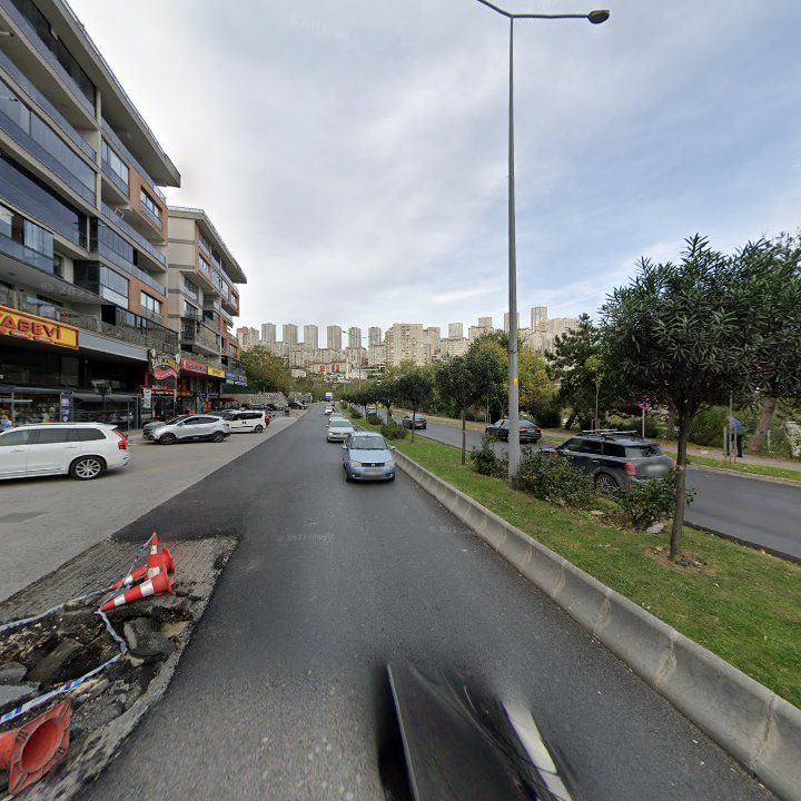 Fotoğraf 12