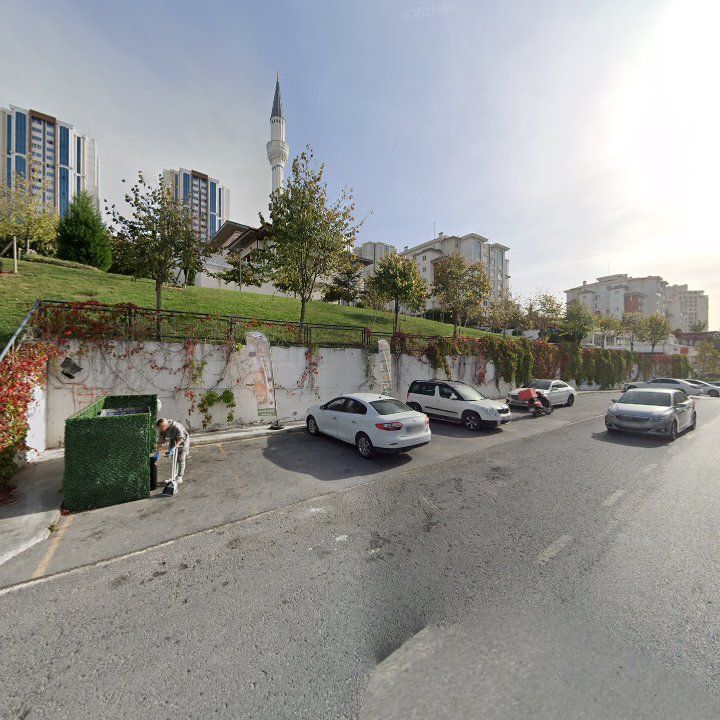 Fotoğraf 8
