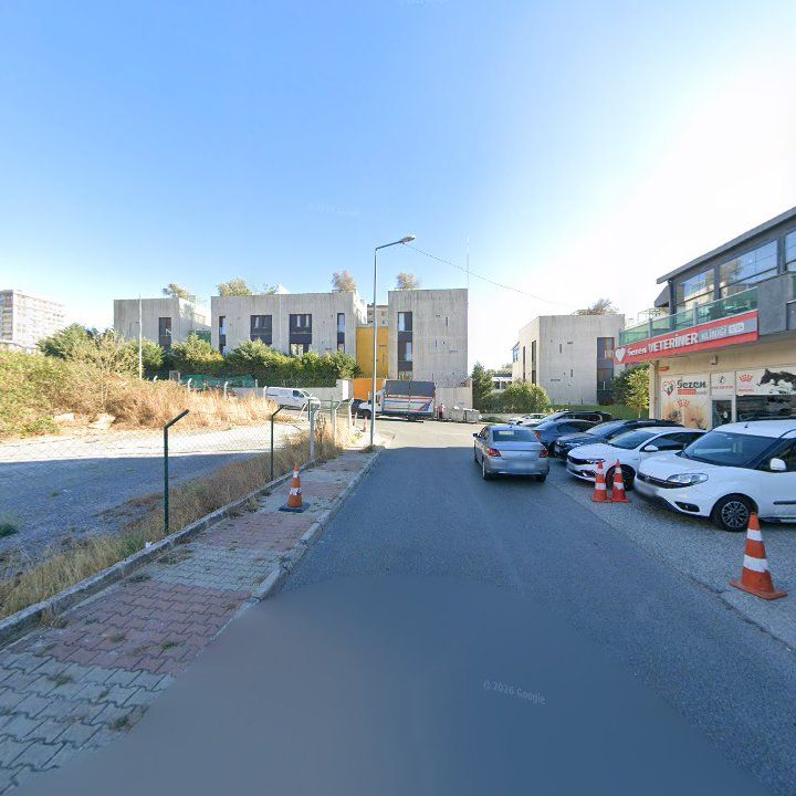 Fotoğraf 12