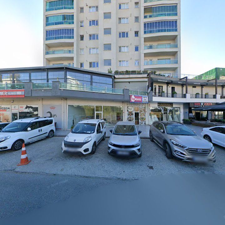 Fotoğraf 13