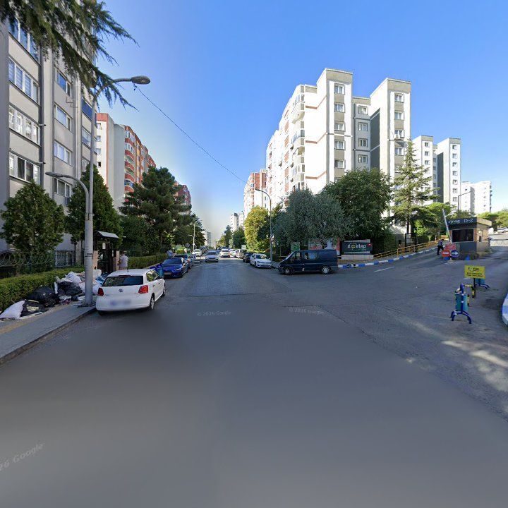 Fotoğraf 11