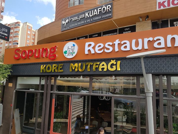 Başakşehir Sopung Kore Restorant